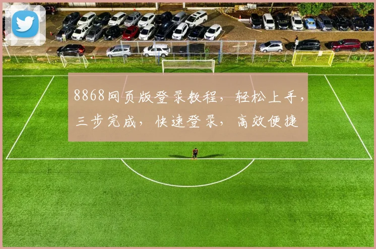 8868网页版登录教程，轻松上手，三步完成，快速登录，高效便捷