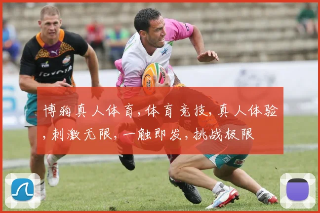 博狗真人体育,体育竞技,真人体验,刺激无限,一触即发,挑战极限